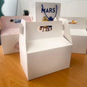 Caja Maletin